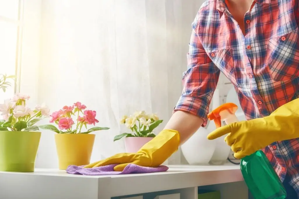 Home Cleaning Service